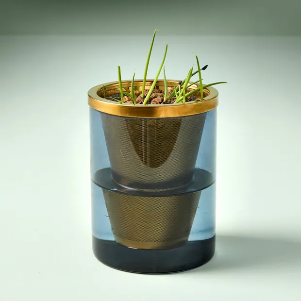 Agave Grow Kit, view 4