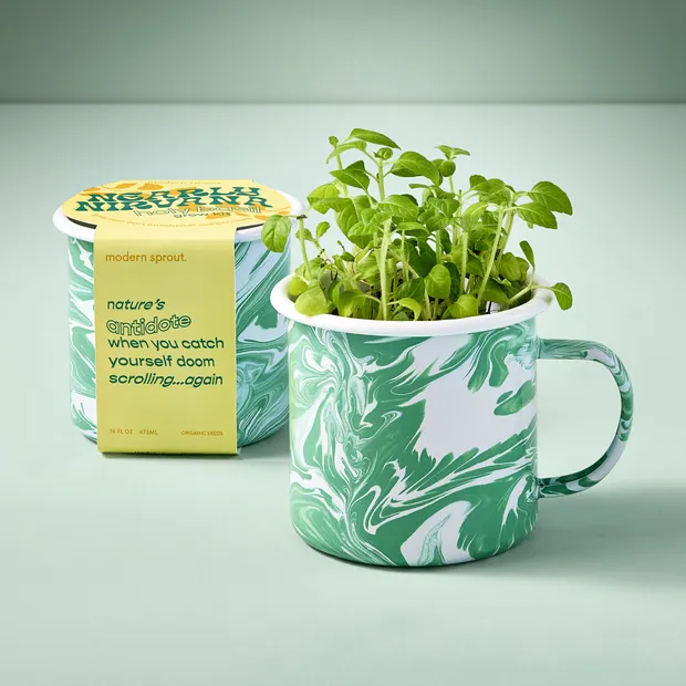 Altered Herb Mug Grow Kits, view 3
