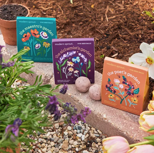 Bespoke Blooms Seed Balls, view 5