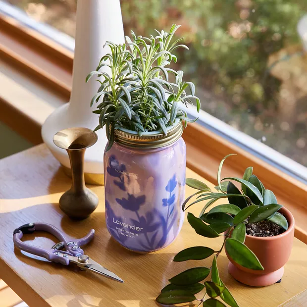 Garden Jars - Organic Herbs, view 3