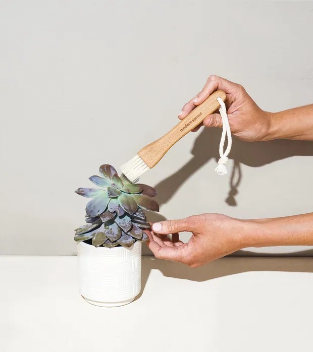 Plant Parent - Botanical Gift Box Set, view 4