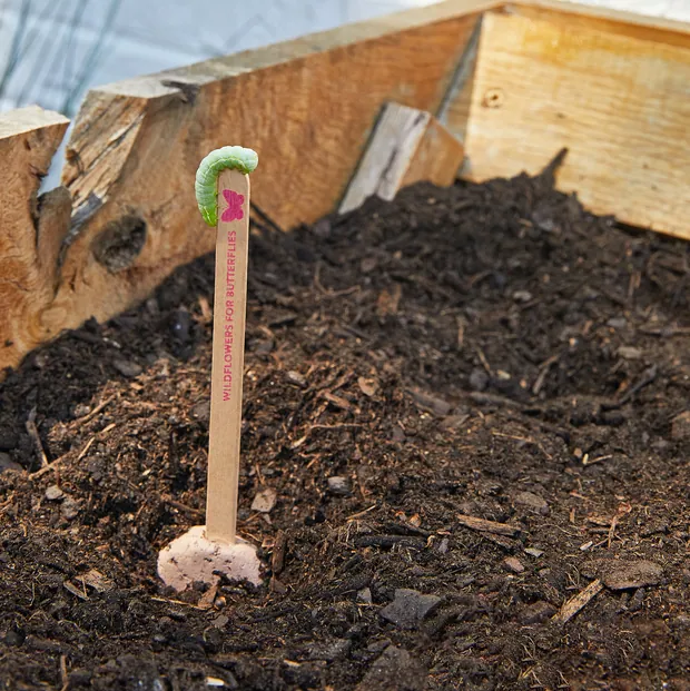 Seed Pops - Flowers, view 3