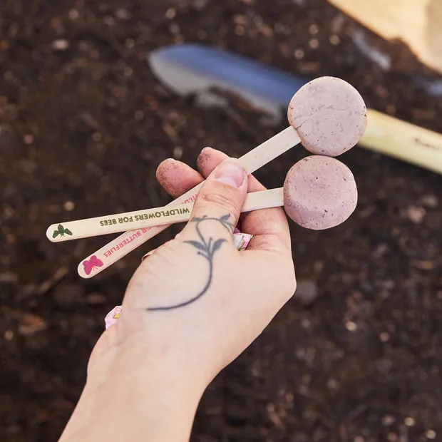 Seed Pops - Garden, view 4