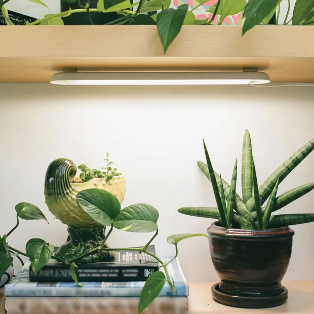 Smart Growbar, view 5