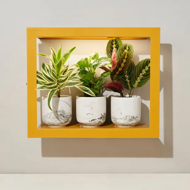 Smart Standard Growframe, view 4