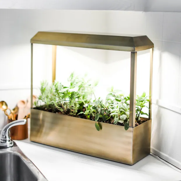 Smart Growhouse, view 3