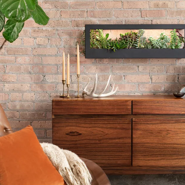 Smart Landscape Growframe, view 3