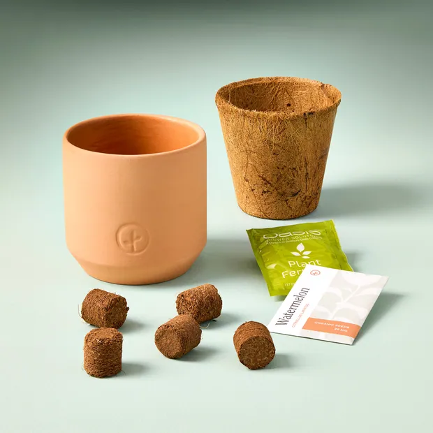 Tiny Terracotta Garden Kits, view 4